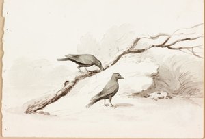 Deux corbeaux noirs